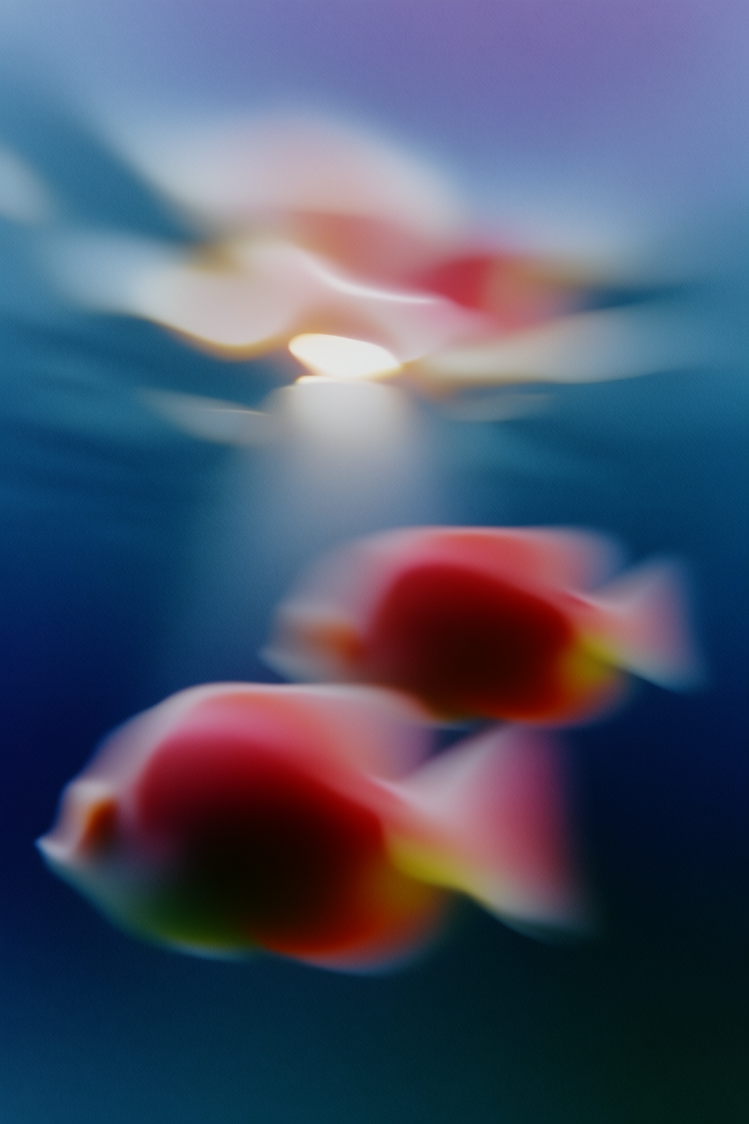 Deep Sea Geometry