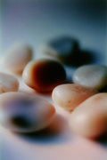 Ivory Stone Forms