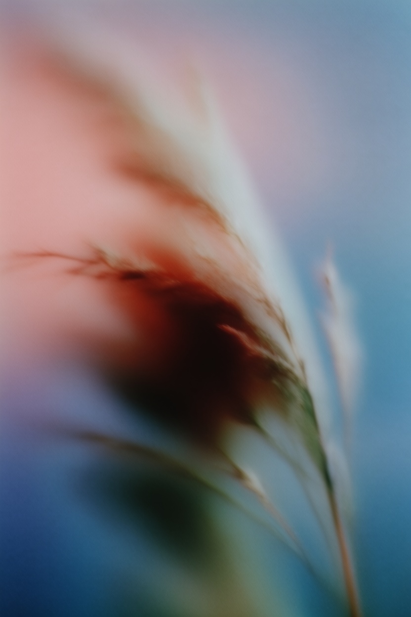 Wild Grass Evening