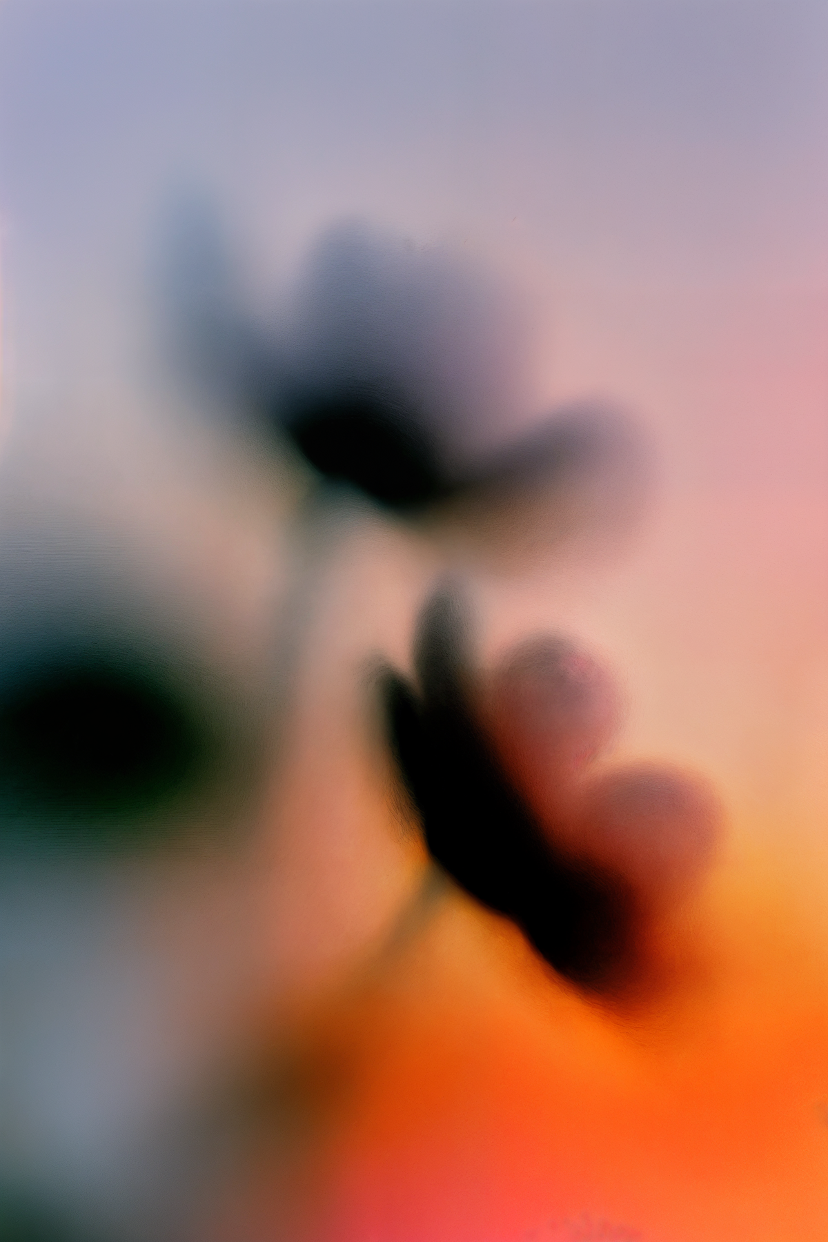 Soft Black Botanicals